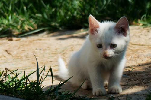 ȫȷ79232555 ֱ¹ڲȾ